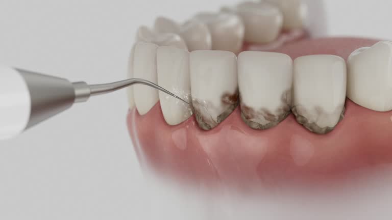 Reliable Dental contractor in Owings Mills, MD by Dentist Open Now